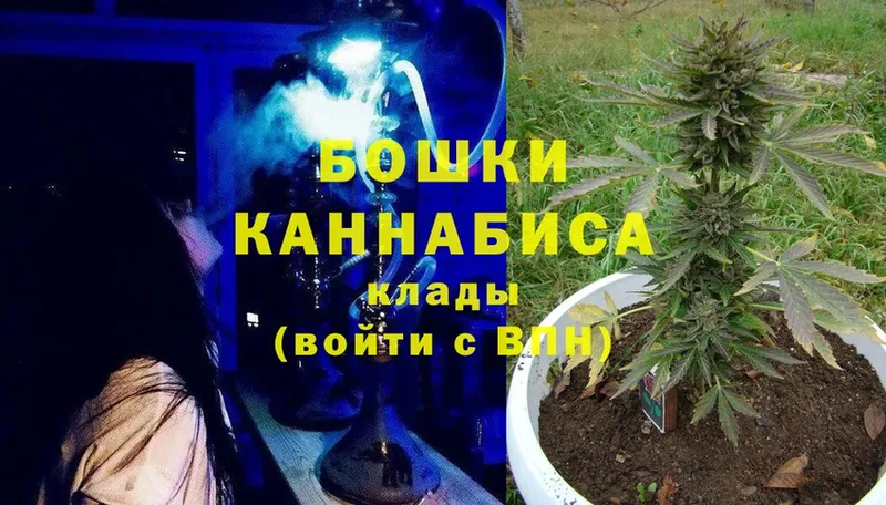 Каннабис SATIVA & INDICA  Каменногорск 